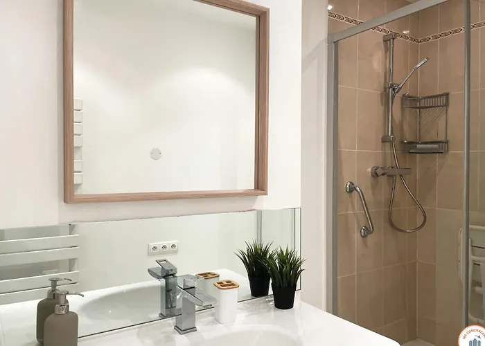 Le Palais Des Glaces - Hypercentre - Port アパート カーン